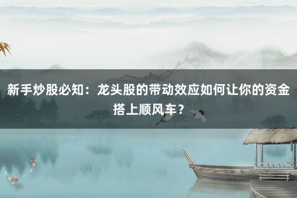 新手炒股必知：龙头股的带动效应如何让你的资金搭上顺风车？