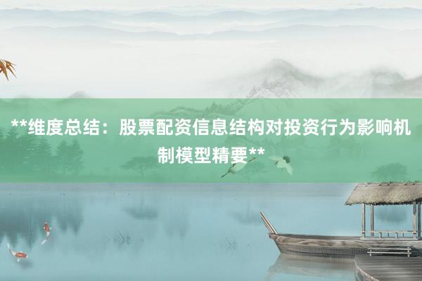**维度总结：股票配资信息结构对投资行为影响机制模型精要**