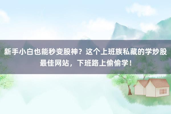 新手小白也能秒变股神？这个上班族私藏的学炒股最佳网站，下班路上偷偷学！